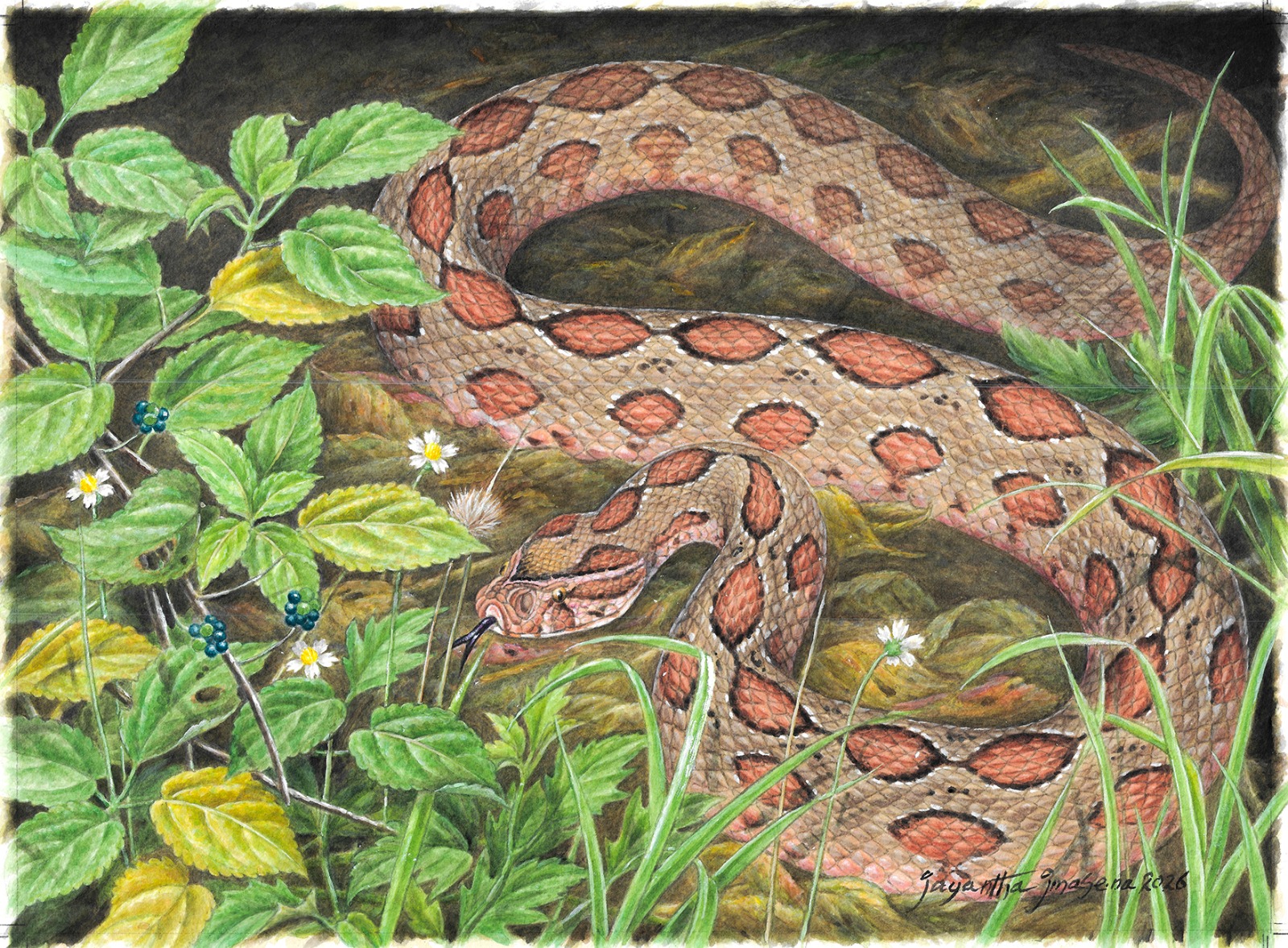 Vibrant Camouflage